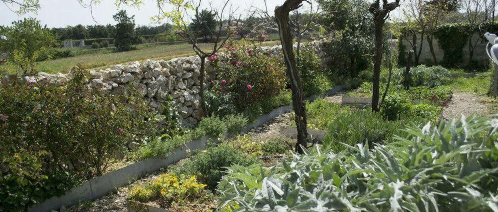 Masseria La Meridiana Altamura Kültér fotó