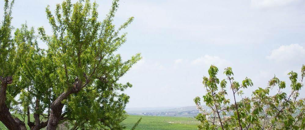 Masseria La Meridiana Altamura Kültér fotó